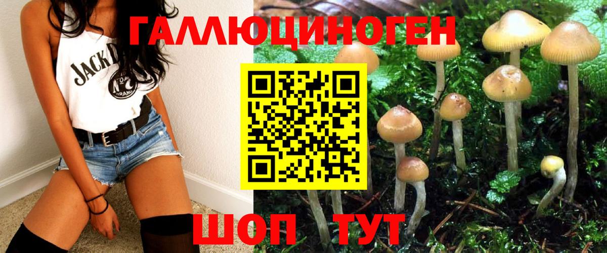 Дедовск  Псилоцибиновые грибы мицелий  Вход с VPN 